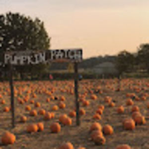 Meet your Posher, Pemberley